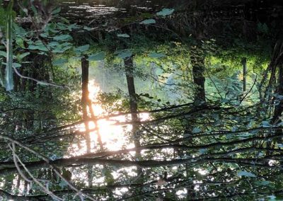 Thèmes_imposés_ou_libres_11