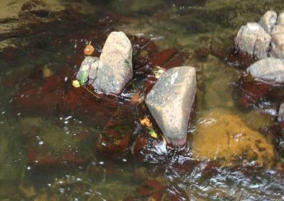 Thèmes_imposés_ou_libres_4