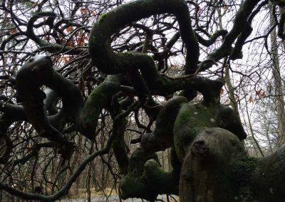 Thèmes_imposés_ou_libres_6